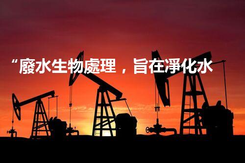 “廢水生物處理，旨在凈化水源，守護碧水藍天”